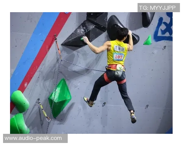 南京攀岩队的阵地战揭秘：深度探索攀岩运动的魅力与挑战