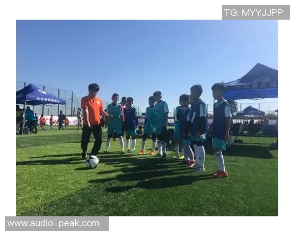 南京足球队的节奏揭秘:激情与梦想交织的绿茵传奇