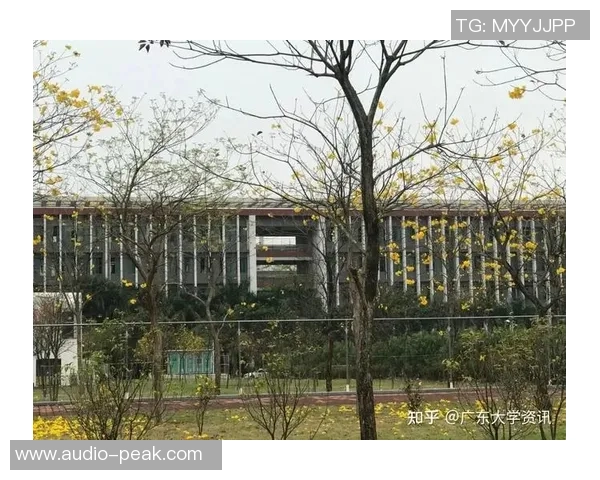 广州排球队中路突破革新探索与实践的全景分析与展望