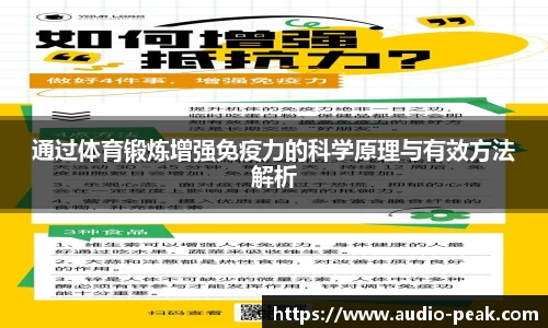3377体育官网